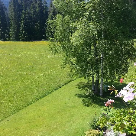 Apartamento Birkenhof *