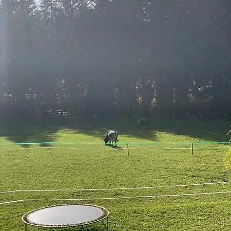 Appartement Birkenhof